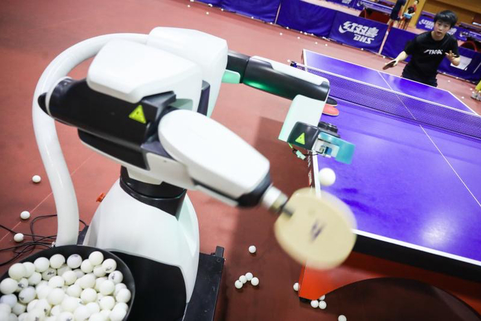 元萝卜围棋机器人与象棋机器人的深度对比体验分享